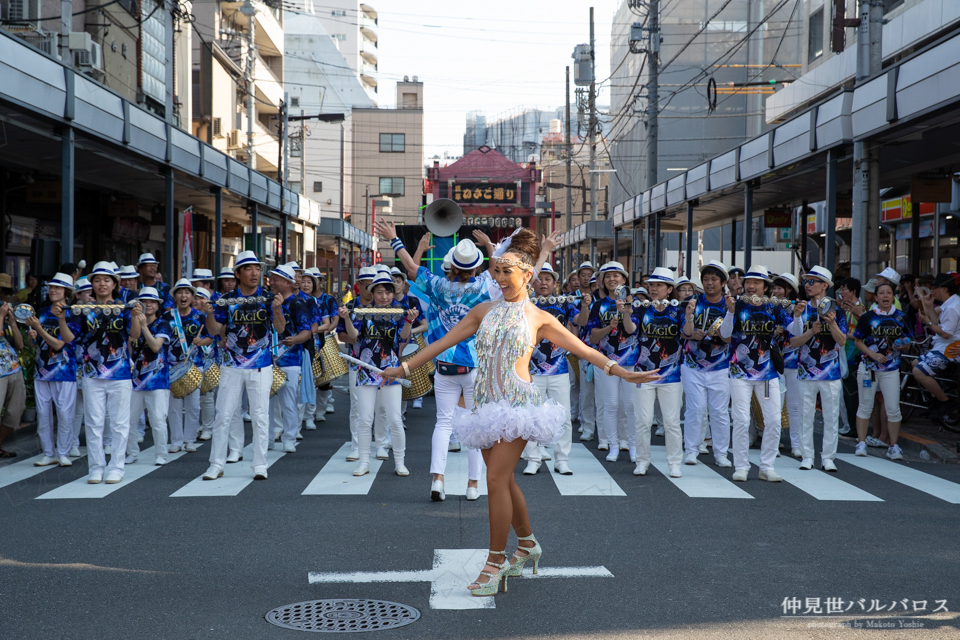 サンバ,仲見世バルバロス,千束通り納涼大会