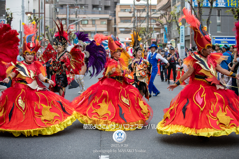 仲見世バルバロス,サンバ,草加よさこいサンバフェスティバル