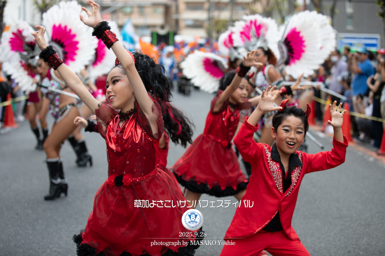仲見世バルバロス,サンバ,草加よさこいサンバフェスティバル