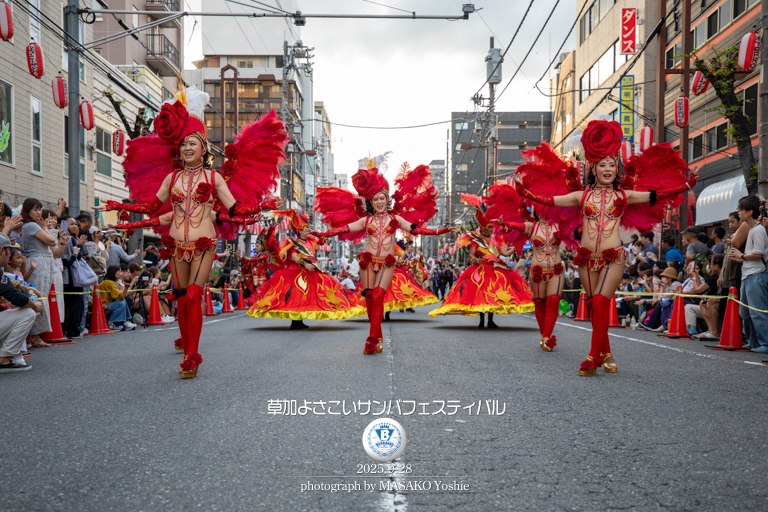 仲見世バルバロス,サンバ,草加よさこいサンバフェスティバル