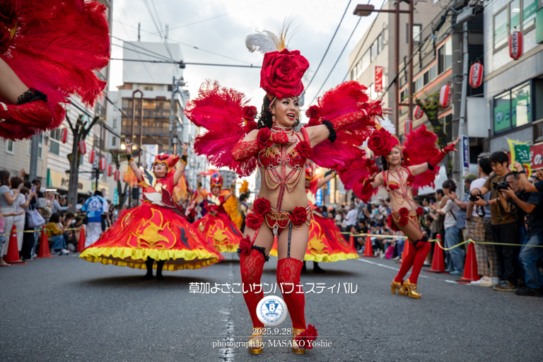仲見世バルバロス,サンバ,草加よさこいサンバフェスティバル