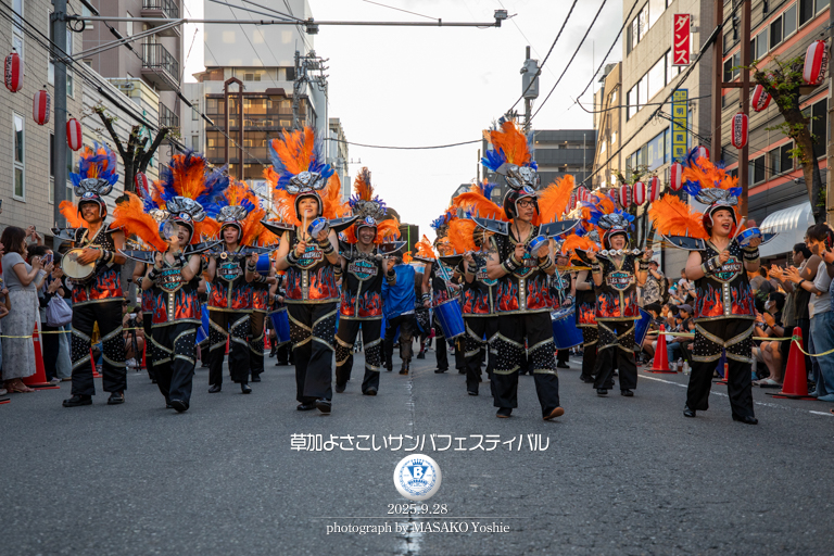 仲見世バルバロス,サンバ,草加よさこいサンバフェスティバル