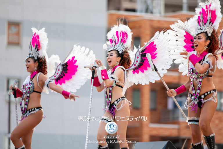 仲見世バルバロス,サンバ,草加よさこいサンバフェスティバル