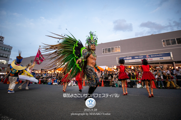 仲見世バルバロス,サンバ,草加よさこいサンバフェスティバル